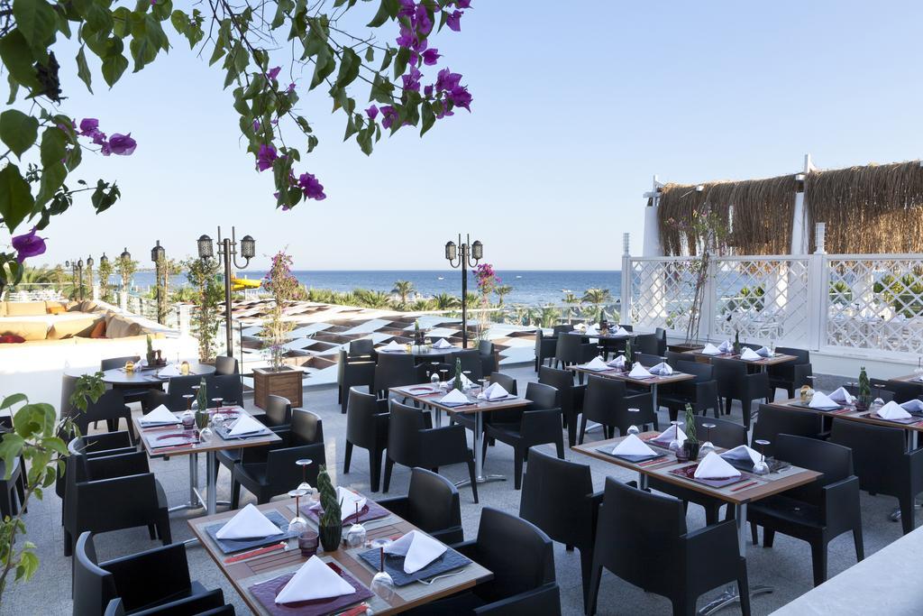 Resort Paloma Oceana